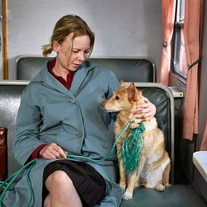 Bilder Fallende Blätter