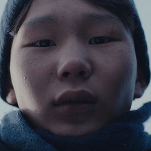 Bilder If Only I Could Hibernate