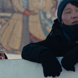 Bilder If Only I Could Hibernate