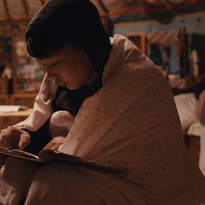 Bilder If Only I Could Hibernate