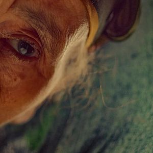 Bilder The Mother Of All Lies - Ein Dokumentarfilm mit Puppen