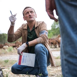 Bilder Alban Casterman