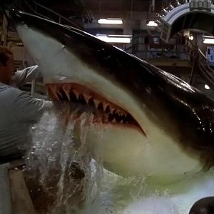 Bilder Deep Blue Sea