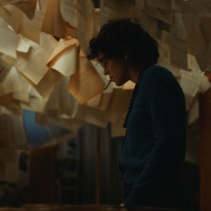 Bilder Marion Cotillard