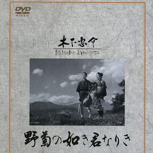 Bilder Du warst wie eine wilde Chrysantheme