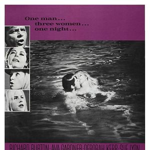 Bilder Die Nacht des Leguan