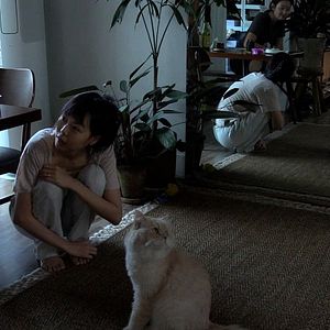 Bilder Woo-Ri-UI-Ha-Ru