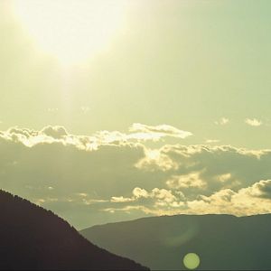 Bilder Fisch im Fell