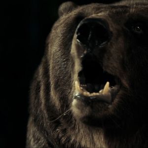 Bilder Fisch im Fell