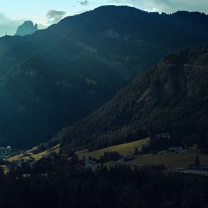 Bilder Fisch im Fell