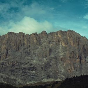 Bilder Fisch im Fell