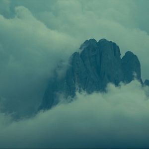 Bilder Fisch im Fell