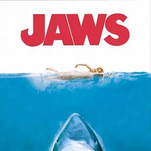 Bilder Der weiße Hai