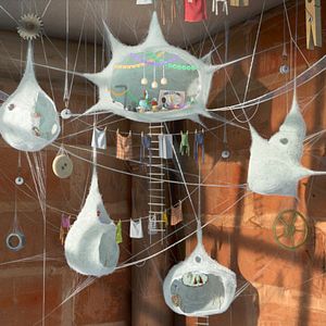 Bilder Die kleine Spinne Lilly Webster