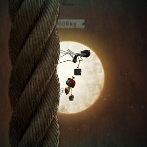 Bilder Die kleine Spinne Lilly Webster