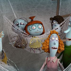 Bilder Die kleine Spinne Lilly Webster