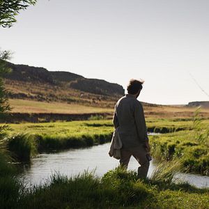 Bilder Auf trockenen Gräsern