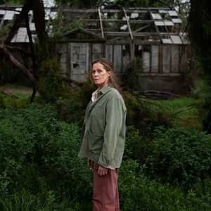 Bilder Die verlorenen Blumen der Alice Hart