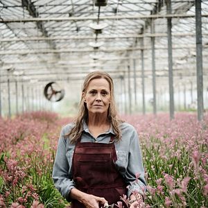 Bilder Die verlorenen Blumen der Alice Hart