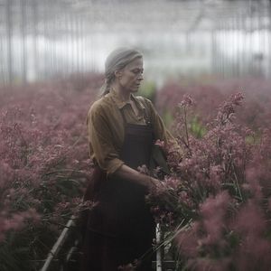 Bilder Die verlorenen Blumen der Alice Hart