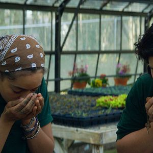 Bilder Eduardo Losan