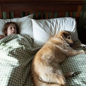 Bilder Rosie & Frank - Wiedersehen auf vier Pfoten