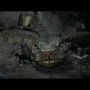 Bilder King Serpent Island