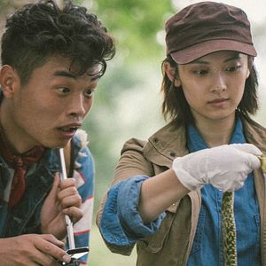 Bilder King Serpent Island