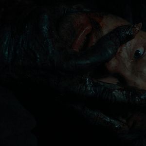 Bilder Nikolai Nikolaeff