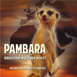 Bilder Pambara - Brauchen wir einen Boss
