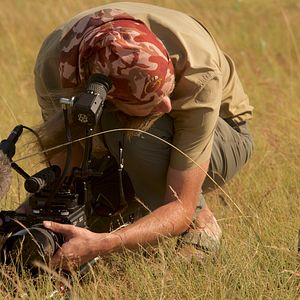 Bilder Pambara - Brauchen wir einen Boss