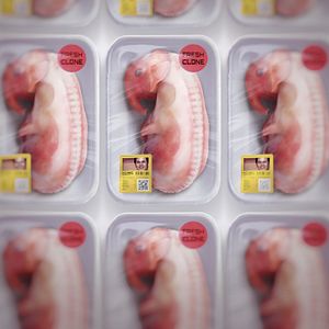 Bilder Dr. Hwang Woo-suk, König der Klone