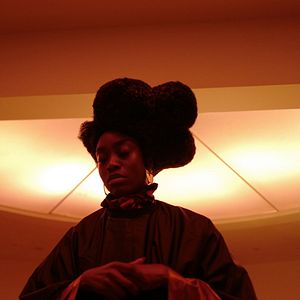 Bilder Medusa Deluxe