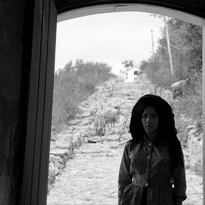 Bilder Gott und Teufel im Land der Sonne