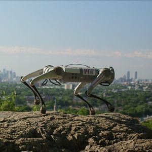 Bilder Unbekannt: Killerroboter