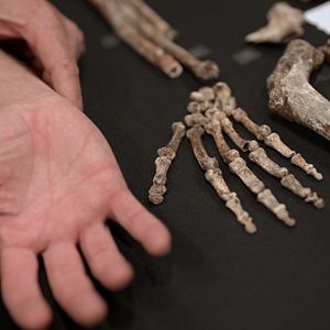 Bilder Unbekannt: Die Knochenhöhle