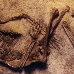 Bilder Unbekannt: Die Knochenhöhle