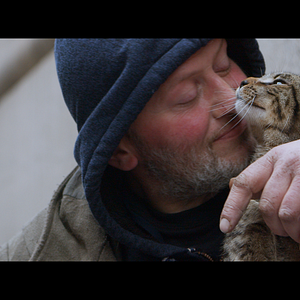 Bilder Cat Daddies - Freunde für sieben Leben