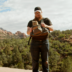 Bilder Cat Daddies - Freunde für sieben Leben
