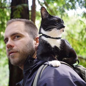 Bilder Cat Daddies - Freunde für sieben Leben