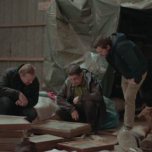 Bilder Die toten Vögel sind oben