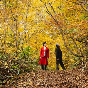 Bilder Das Zen-Tagebuch