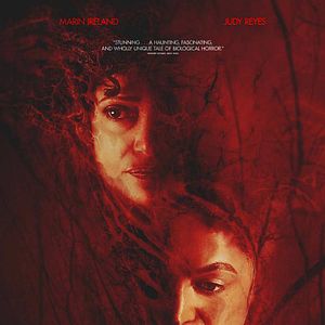 Bilder Birth/Rebirth