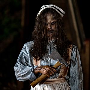 Bilder She Came From The Woods