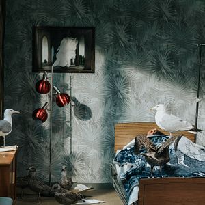 Bilder Die Verlorenen