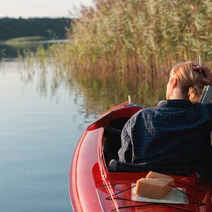 Bilder Milena Dreißig