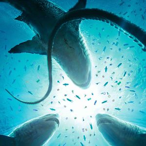 Bilder Meg 2: Die Tiefe