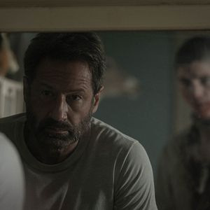 Bilder Friedhof der Kuscheltiere: Bloodlines