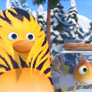 Bilder Die Dschungelhelden auf Weltreise