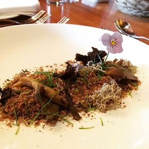 Bilder Chef.Fe.S De Brousse